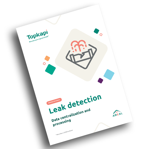 Document Topkapi leak detection